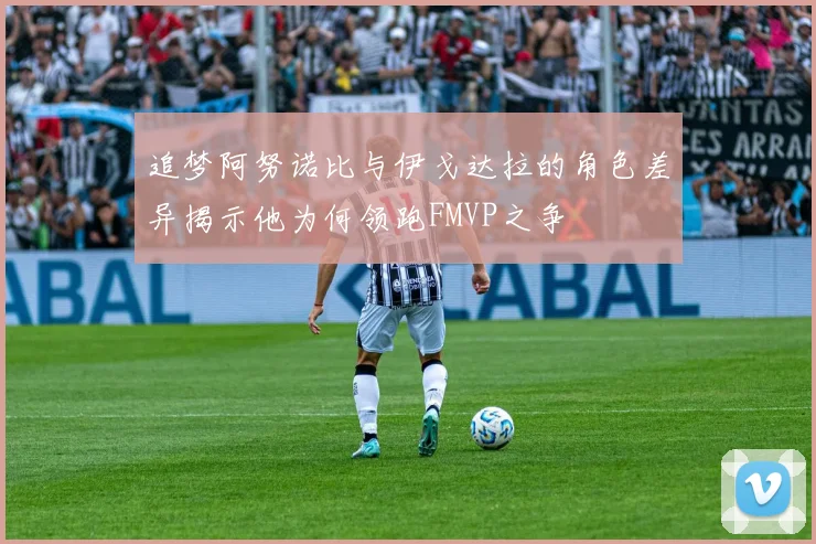 追梦阿努诺比与伊戈达拉的角色差异揭示他为何领跑FMVP之争